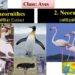 Aves Class and Classification and Characteristics of Aves